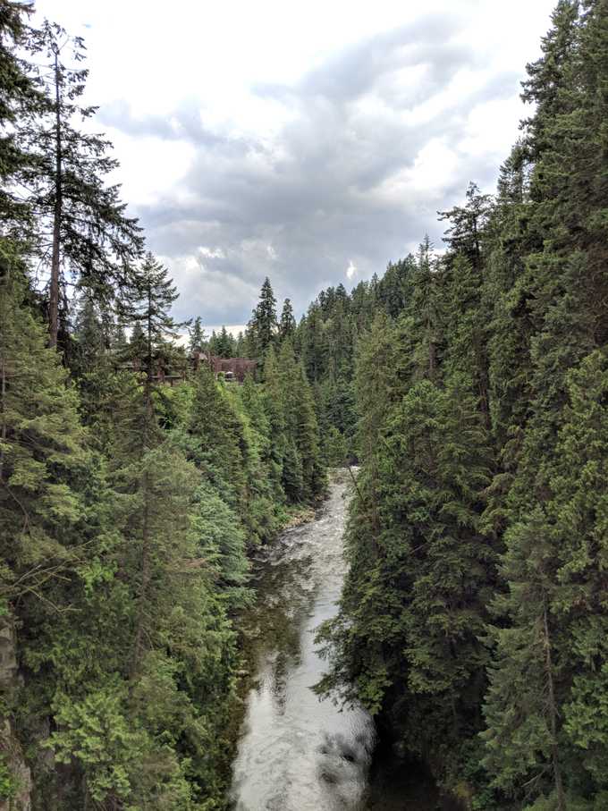 Capilano Suspension Bridge 2