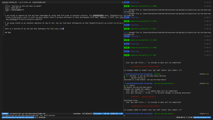 Vim and tmux Setup