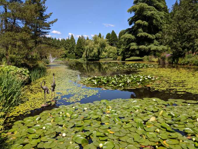 VanDusen Botanical Garden