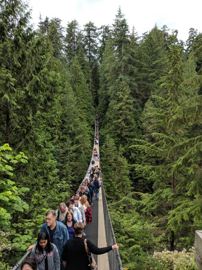 Capilano Suspension Bridge